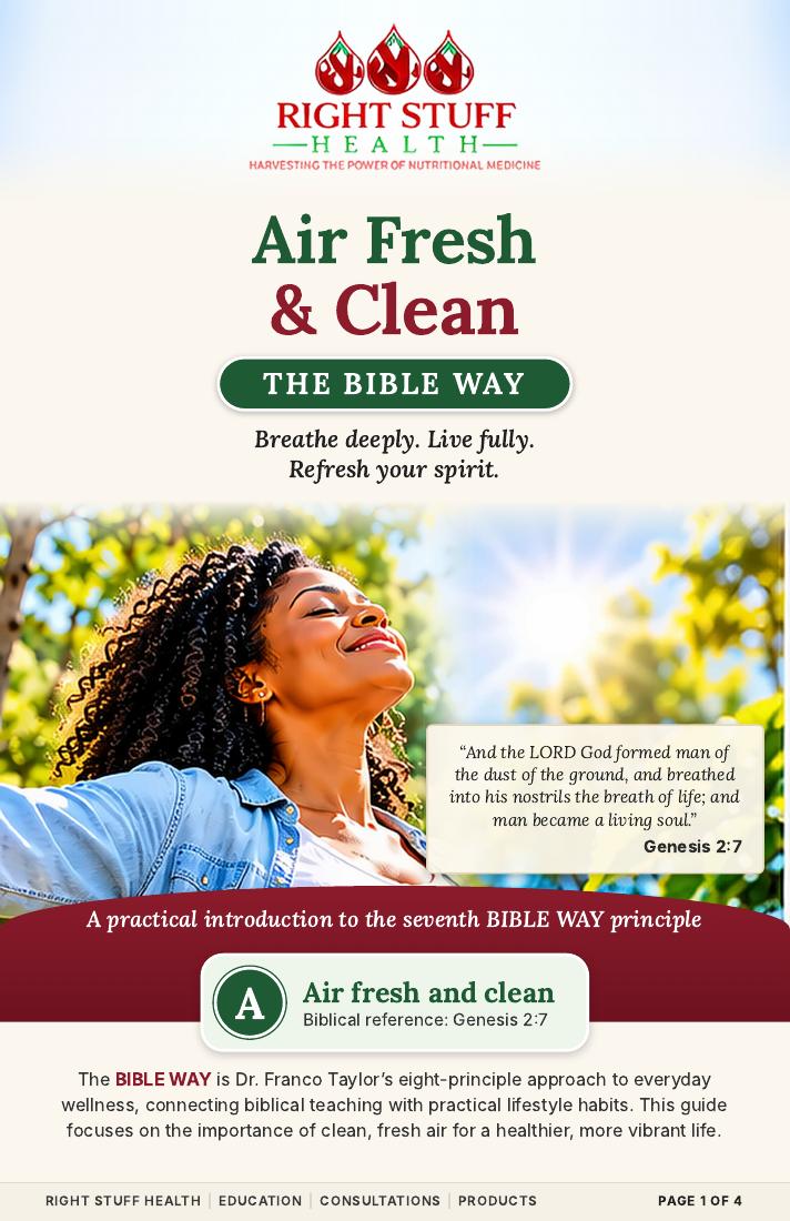 Air Fresh & Clean — original PDF cover, booklet 7 of 8